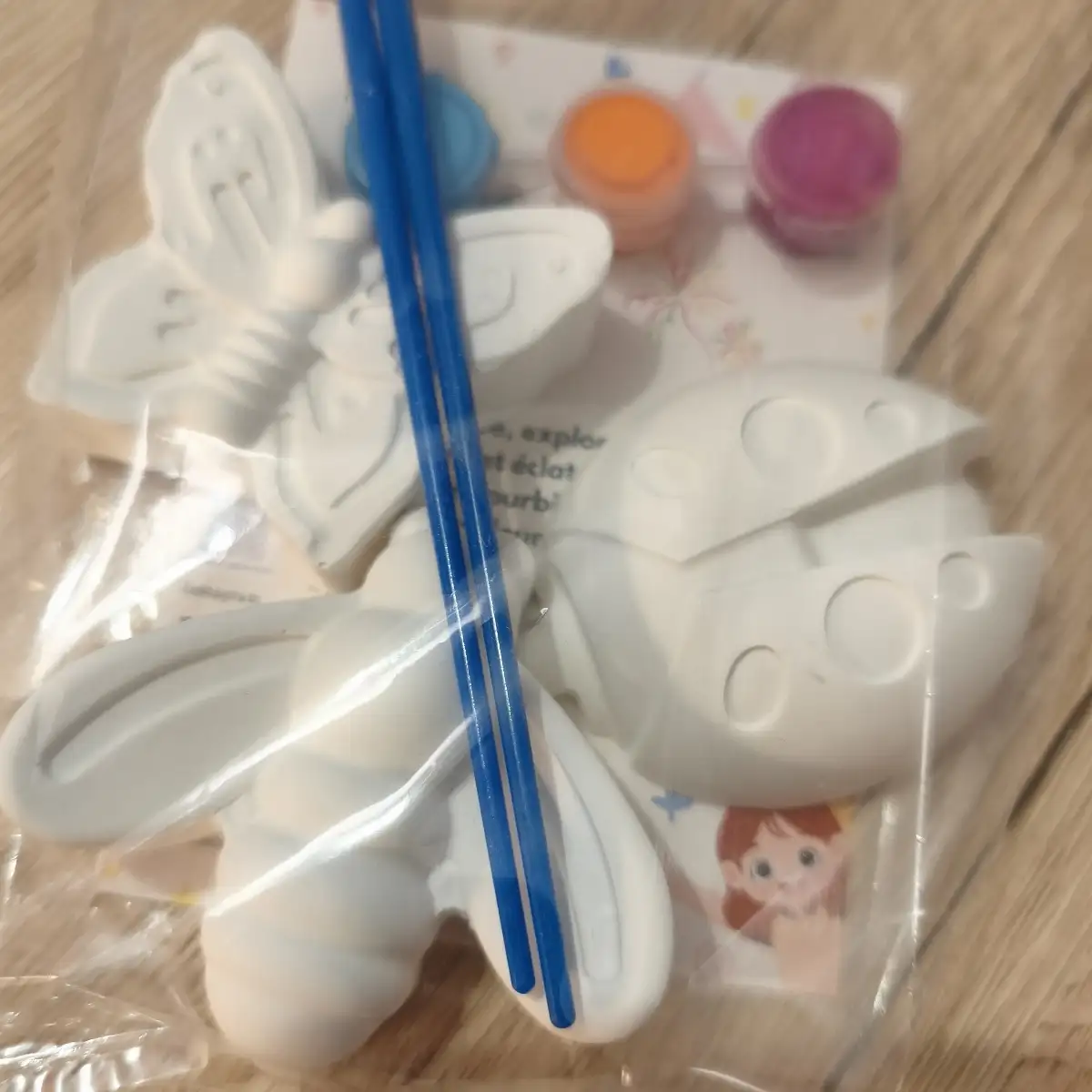 Coffret à peindre coccinelle mouche papillon